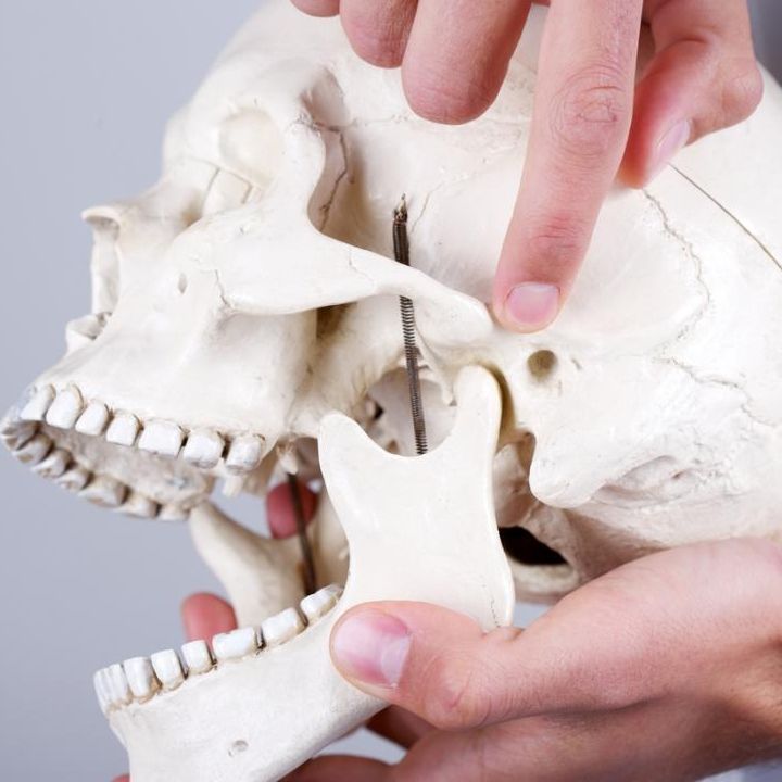 Temporomandibular Eklem (Çene Eklemi Hastalıkları )